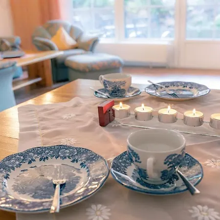 Seestern, Vermittlung Nordsee Dangast