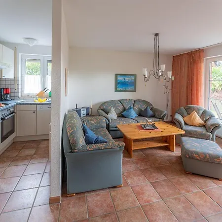 Seestern, Vermittlung Nordsee Dangast