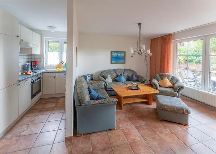 Seestern, Vermittlung Nordsee 丹加斯特